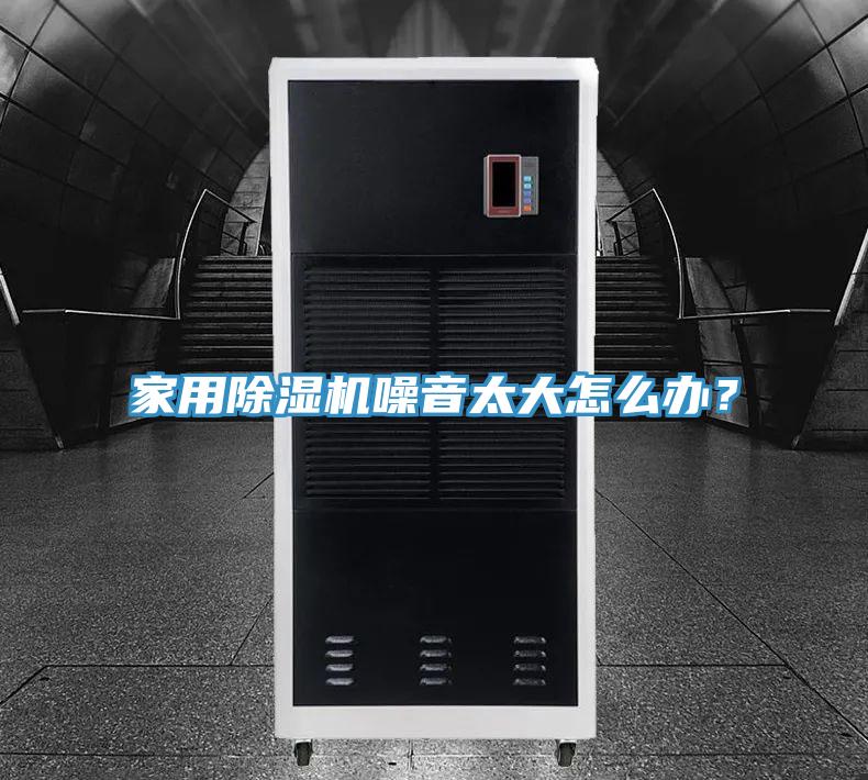 家用91看片网站噪音太大怎麽辦？