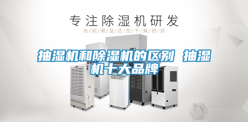 抽濕機和91看片网站的區別 抽濕機十大品牌