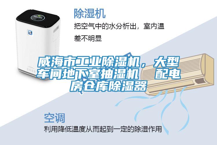 威海市工業91看片网站，大型車間地下室抽濕機  配電房倉庫除濕器