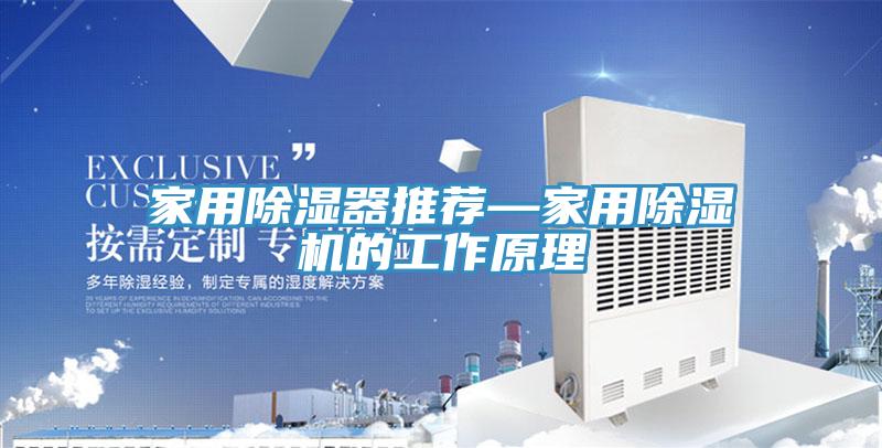 家用除濕器推薦—家用91看片网站的工作原理