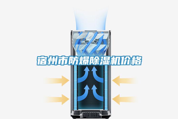 宿州市防爆91看片网站價格