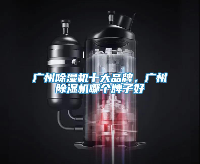 廣州91看片网站十大品牌，廣州91看片网站哪個牌子好