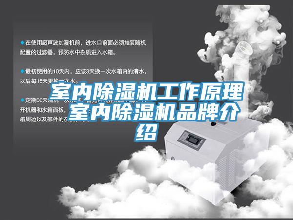 室內91看片网站工作原理 室內91看片网站品牌介紹