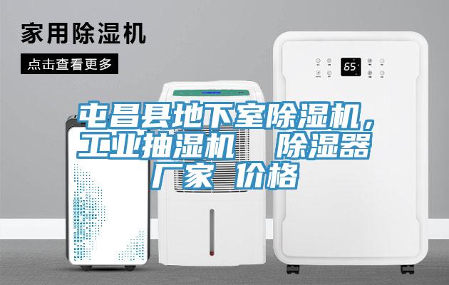 屯昌縣地下室91看片网站，工業抽濕機  除濕器廠家 價格