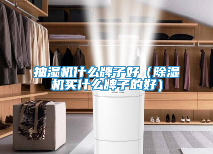 抽濕機什麽牌子好（91看片网站買什麽牌子的好）