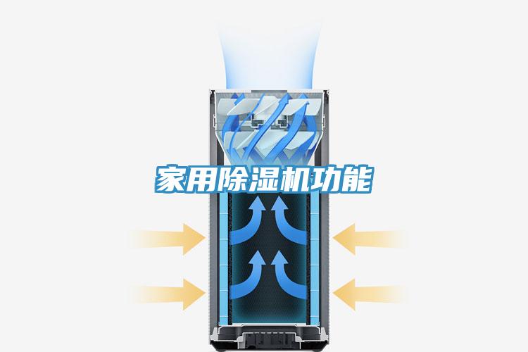家用91看片网站功能