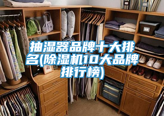 抽濕器品牌十大排名(91看片网站10大品牌排行榜)