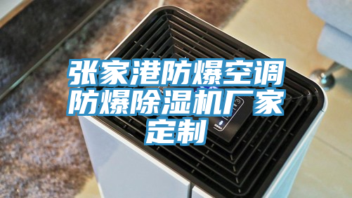 張家港防爆空調防爆91看片网站廠家定製