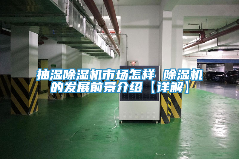 抽濕91看片网站市場怎樣 91看片网站的發展前景介紹【詳解】