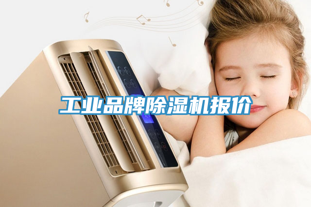 工業品牌91看片网站報價