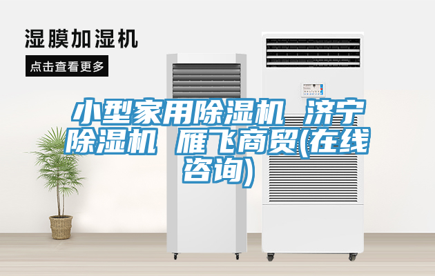 小型家用91看片网站 濟寧91看片网站 雁飛商貿(在線谘詢)