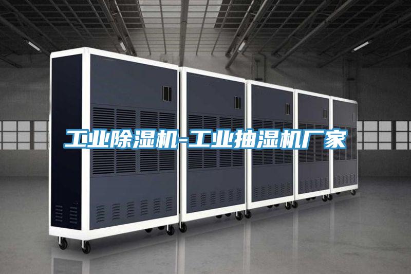 工業91看片网站-工業抽濕機廠家