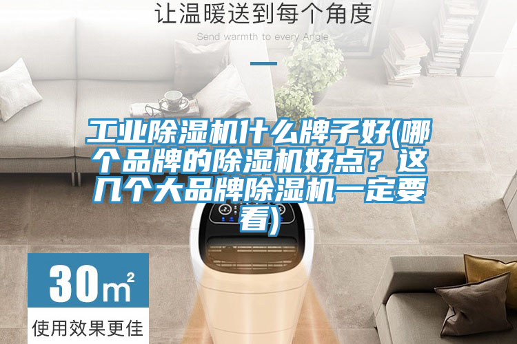 工業91看片网站什麽牌子好(哪個品牌的91看片网站好點？這幾個大品牌91看片网站一定要看)