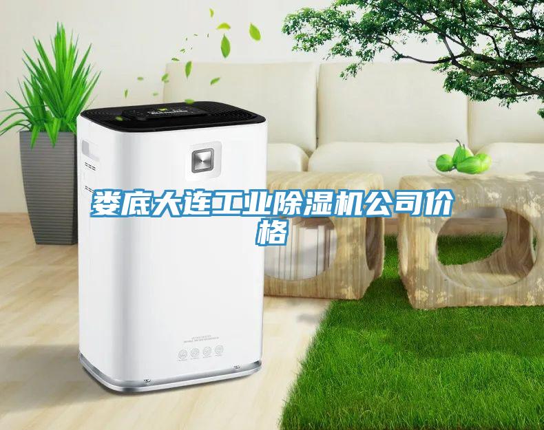 婁底大連工業91看片网站公司價格