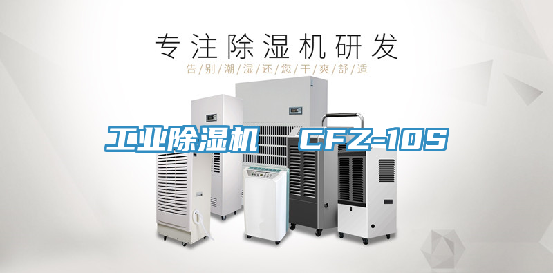 工業91看片网站  CFZ-10S