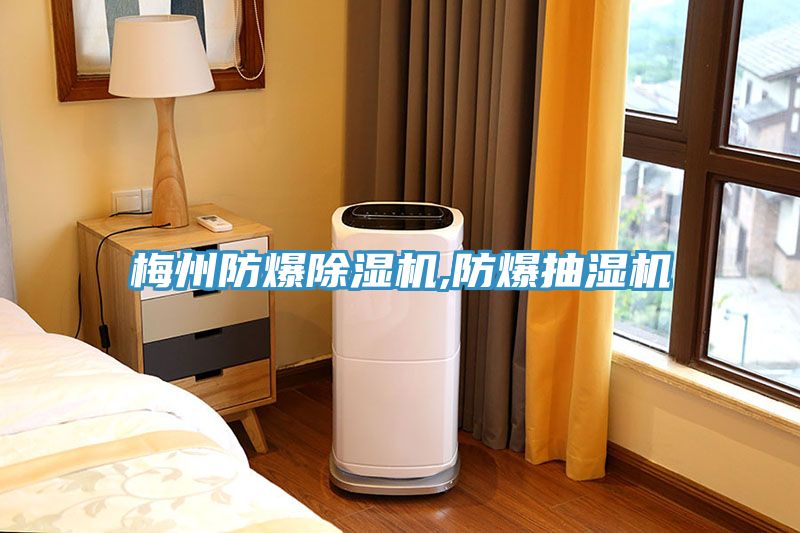 梅州防爆91看片网站,防爆抽濕機