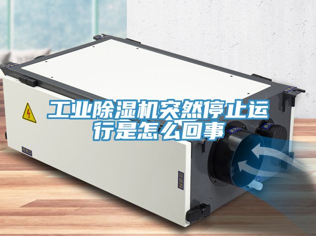工業91看片网站突然停止運行是怎麽回事