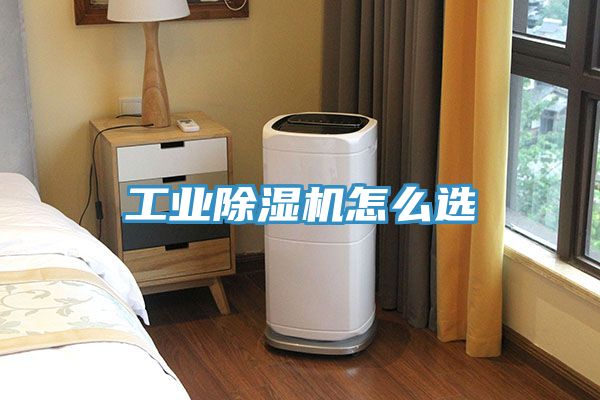工業91看片网站怎麽選