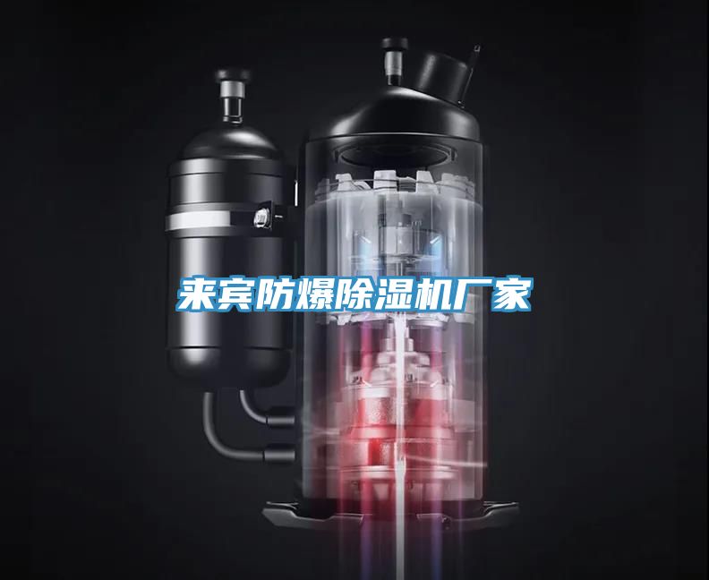 來賓防爆91看片网站廠家