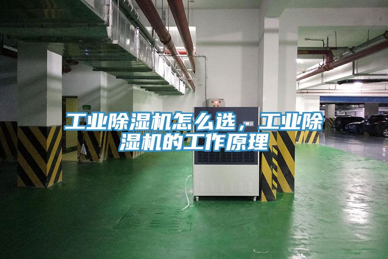 工業91看片网站怎麽選，工業91看片网站的工作原理