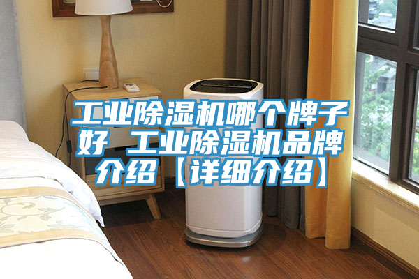 工業91看片网站哪個牌子好 工業91看片网站品牌介紹【詳細介紹】