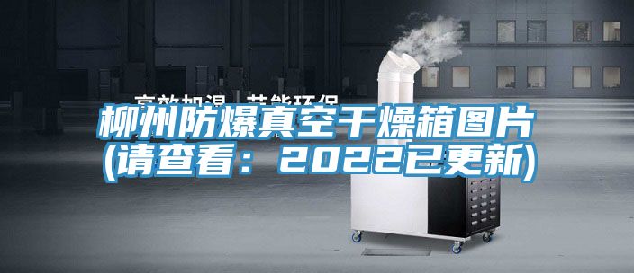 柳州防爆真空幹燥箱圖片(請查看：2022已更新)