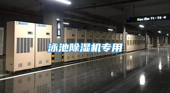 泳池91看片网站專用