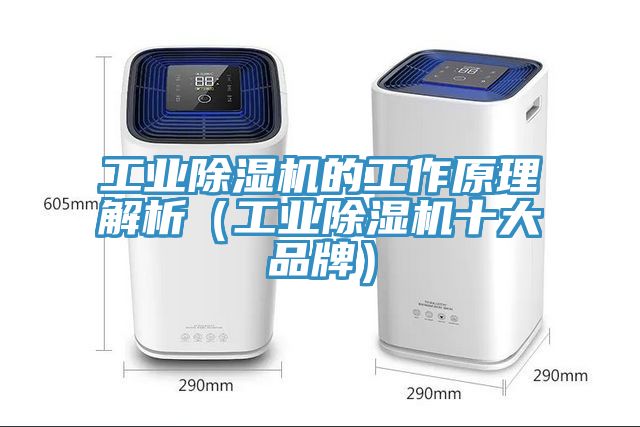 工業91看片网站的工作原理解析（工業91看片网站十大品牌）