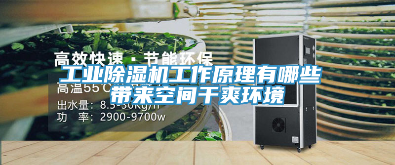 工業91看片网站工作原理有哪些 帶來空間幹爽環境