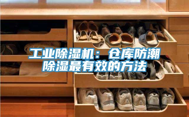 工業91看片网站：倉庫防潮除濕最有效的方法