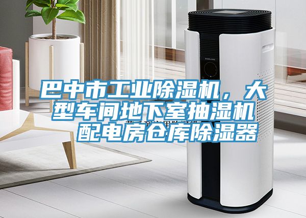 巴中市工業91看片网站，大型車間地下室抽濕機  配電房倉庫除濕器