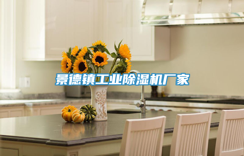 景德鎮工業91看片网站廠家