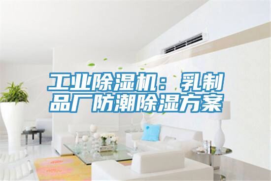 工業91看片网站：乳製品廠防潮除濕方案