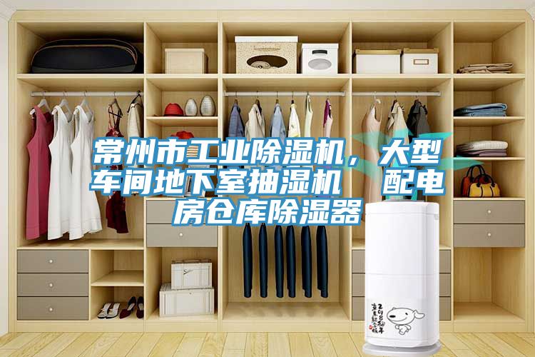 常州市工業91看片网站，大型車間地下室抽濕機  配電房倉庫除濕器
