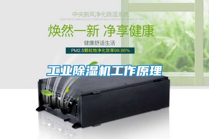 工業91看片网站工作原理