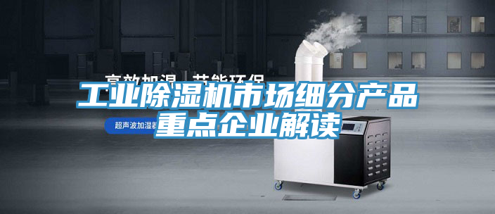 工業91看片网站市場細分產品重點企業解讀