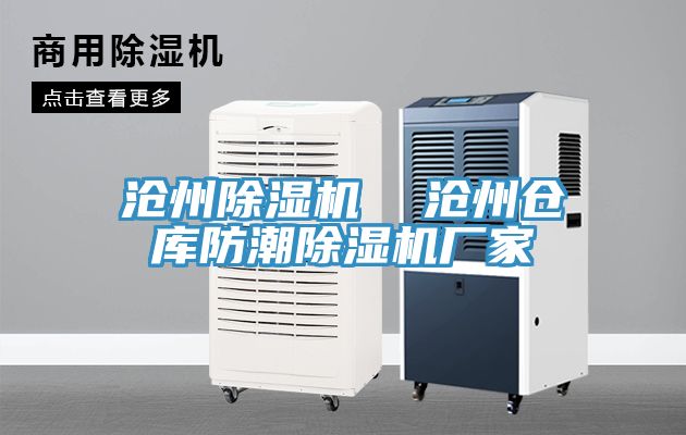 滄州91看片网站  滄州倉庫防潮91看片网站廠家