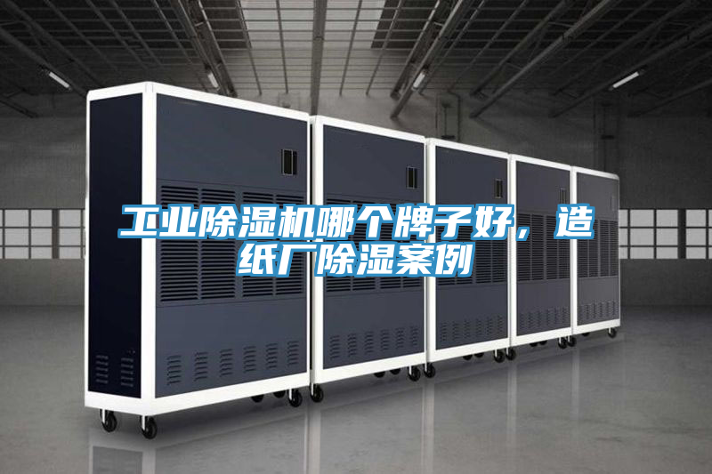 工業91看片网站哪個牌子好，造紙廠除濕案例