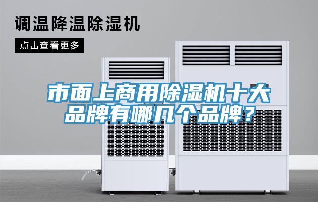 市麵上商用91看片网站十大品牌有哪幾個品牌？
