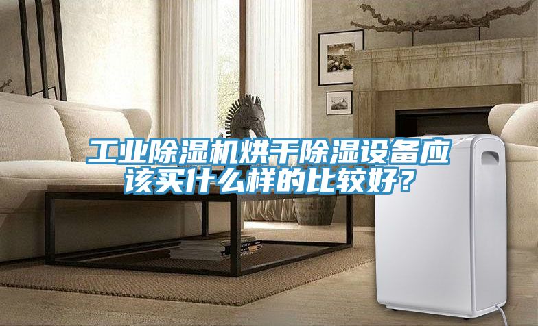 工業91看片网站烘幹除濕設備應該買什麽樣的比較好？