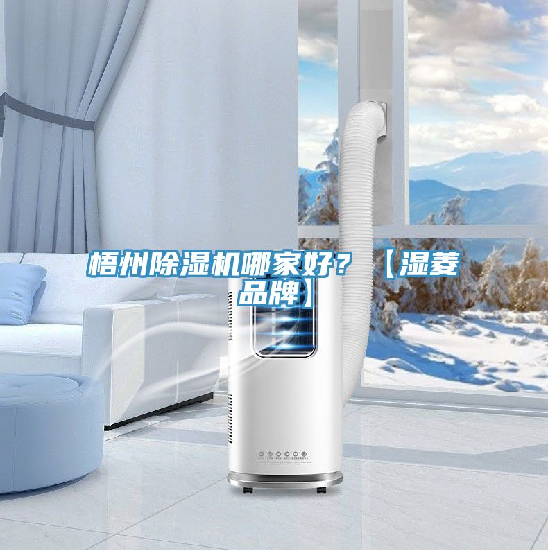 梧州91看片网站哪家好？【濕菱品牌】
