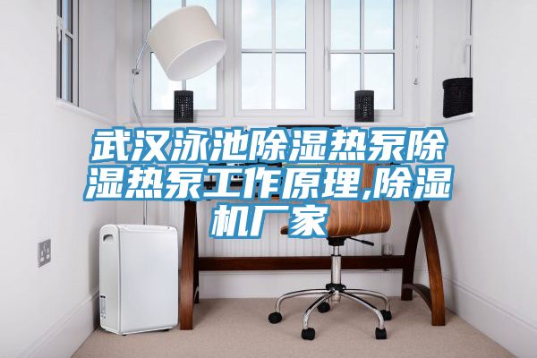 武漢泳池除濕熱泵除濕熱泵工作原理,91看片网站廠家
