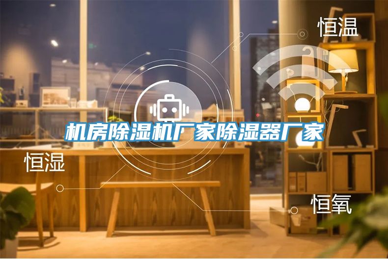 機房91看片网站廠家除濕器廠家