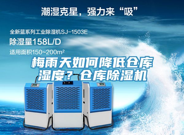 梅雨天如何降低倉庫濕度？倉庫91看片网站