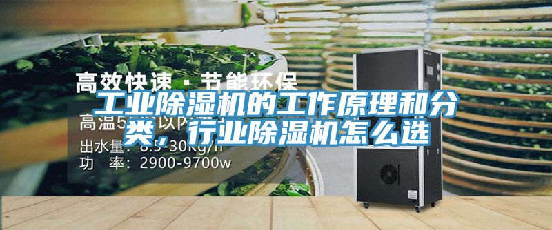 工業91看片网站的工作原理和分類，行業91看片网站怎麽選