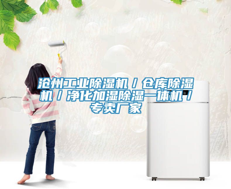 滄州工業91看片网站／倉庫91看片网站／淨化加濕除濕一體機／專賣廠家