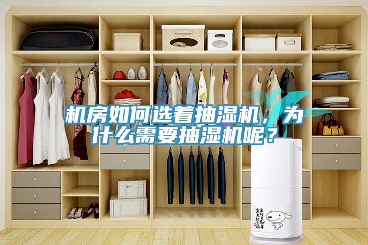 機房如何選著抽濕機，為什麽需要抽濕機呢？