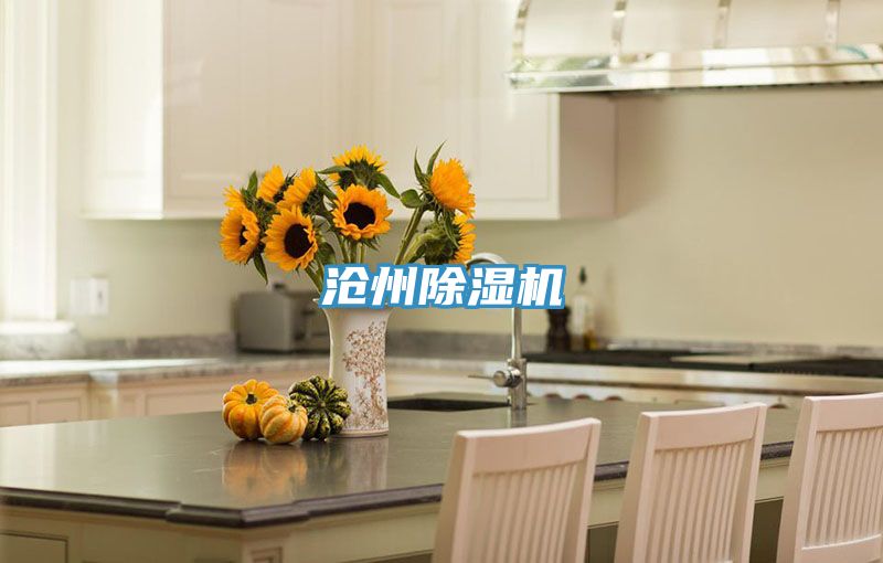 滄州91看片网站