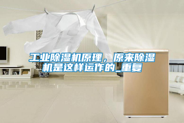 工業91看片网站原理，原來91看片网站是這樣運作的_重複