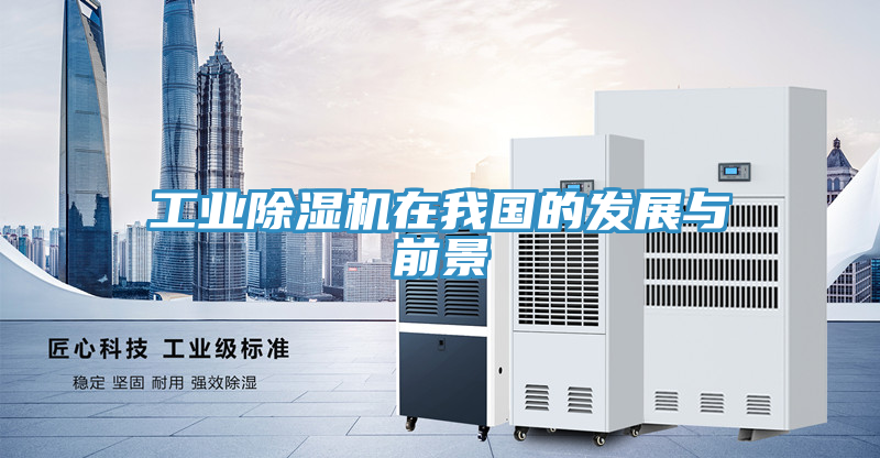 工業91看片网站在我國的發展與前景